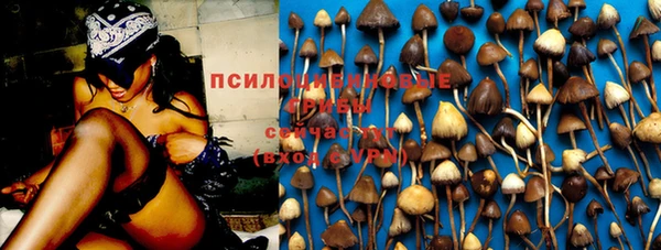 прущая мука Абаза
