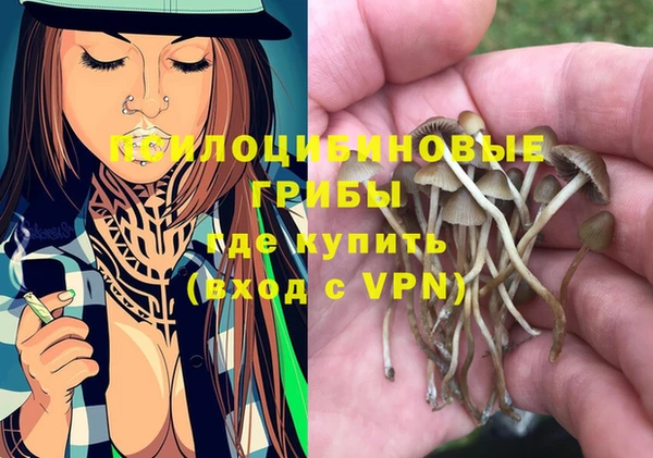 дурь Абинск