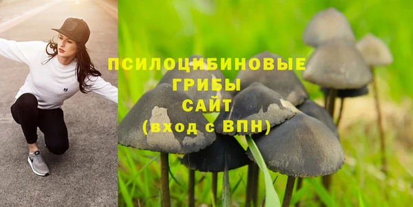прущая мука Абаза
